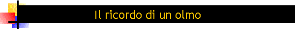 Il ricordo di un olmo